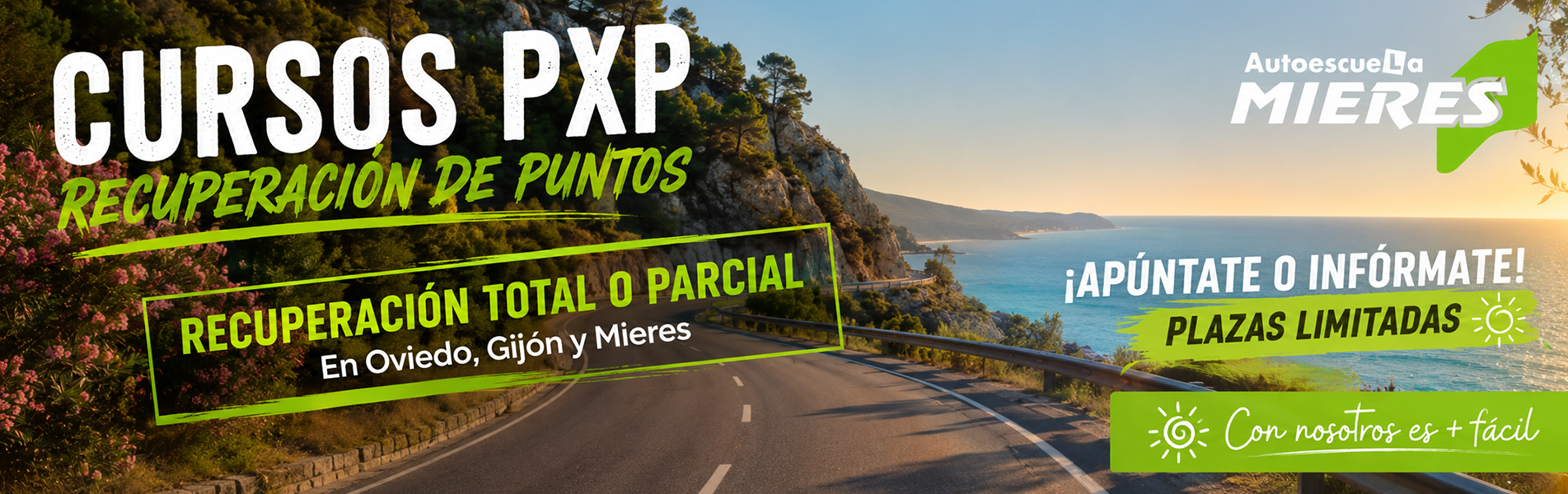 Cursos recuperación puntos Autoescuela Mieres